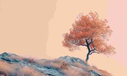 Featured image of post 业务开发问题 代码篇(事务)